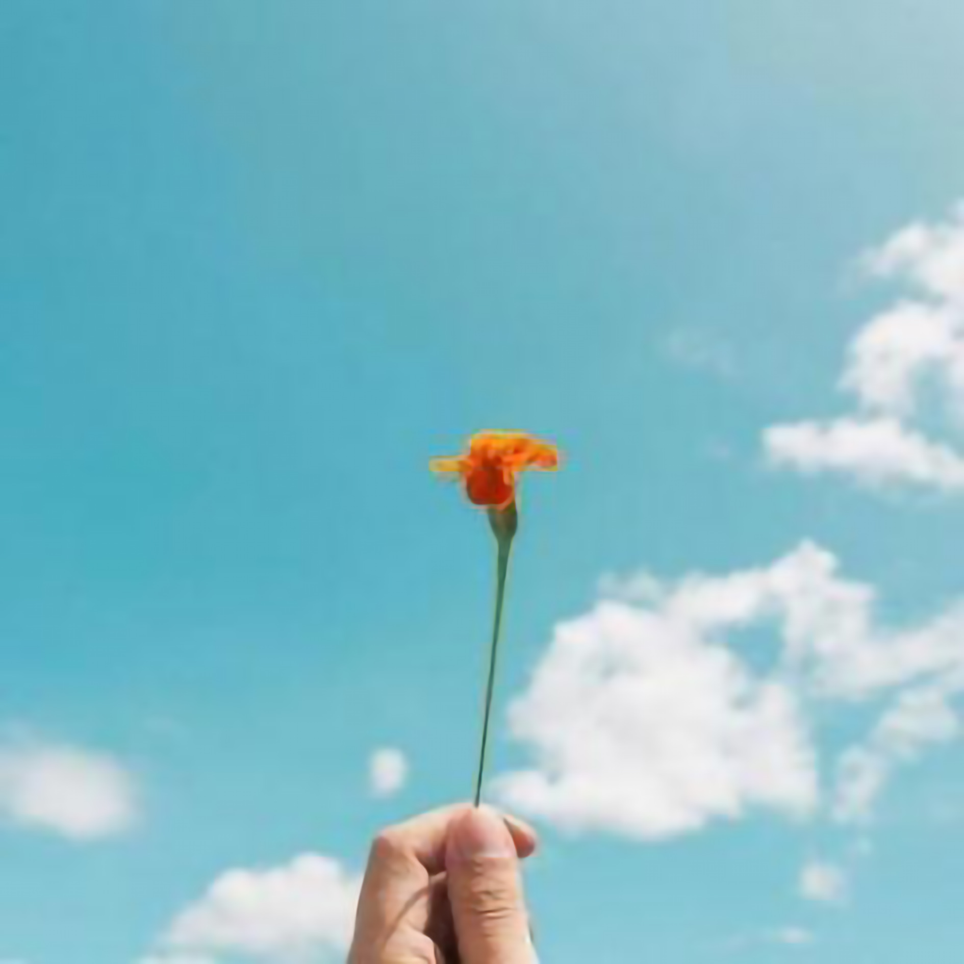 魔行酷（MOOOK）模型库|素材库|3D主题模型素材|视频教学-打造优质3D主题模型素材！