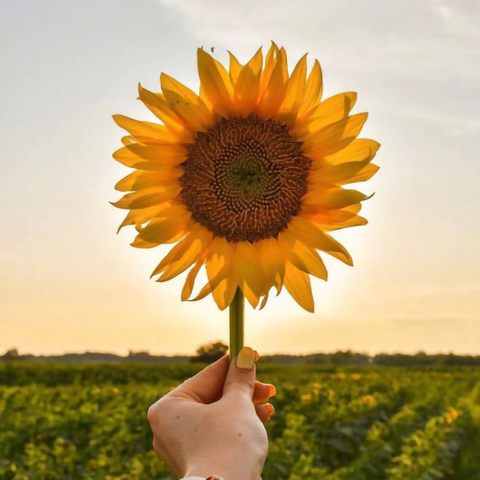 魔行酷（MOOOK）模型库|素材库|3D主题模型素材|视频教学-打造优质3D主题模型素材！