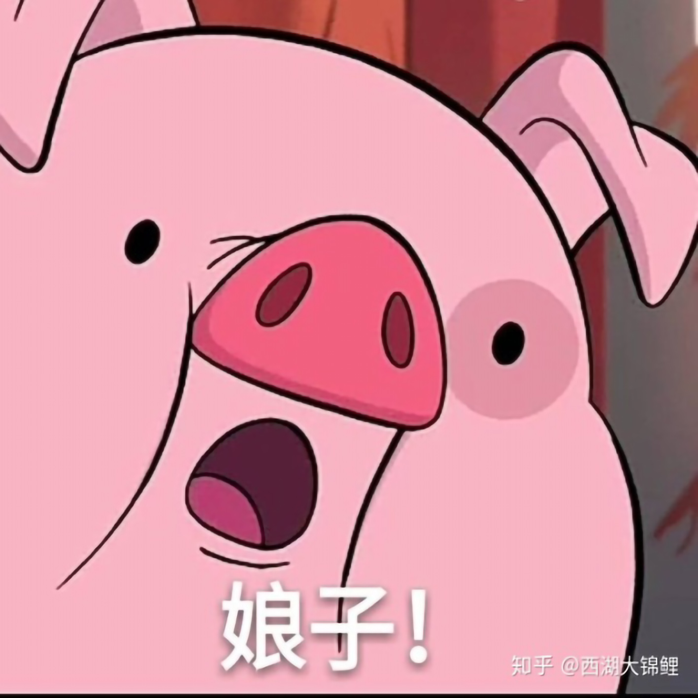 魔行酷（MOOOK）模型库|素材库|3D主题模型素材|视频教学-打造优质3D主题模型素材！