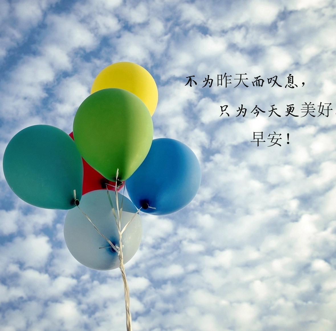 魔行酷（MOOOK）模型库|素材库|3D主题模型素材|视频教学-打造优质3D主题模型素材！